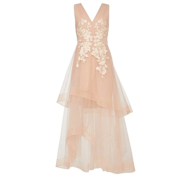 BCBGMaxAzria Dresses & Skirts - BCBG Max Azria Floral Sheer Embroidered Appliquéd Asymmetrical Gown Nude Pink